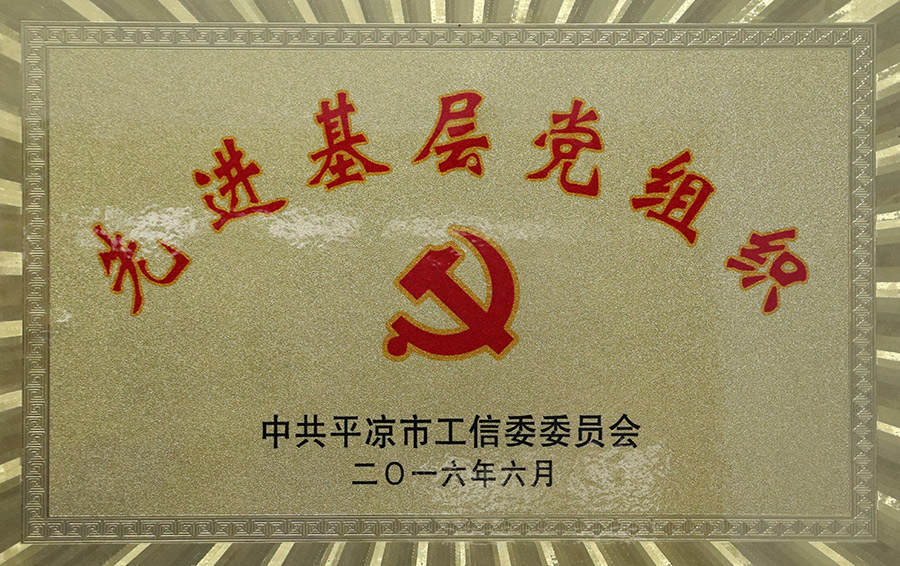 2016-6先進(jìn)基層黨組織.jpg